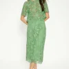 Clearance Oasis Detailed Lace Pencil Skirt Green