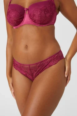 Hot Oasis Gorgeous Heritage Bloom Embroidery Brief Red