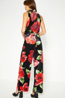 Online Oasis Petite Floral Velvet High Neck Halter Jumpsuit Black