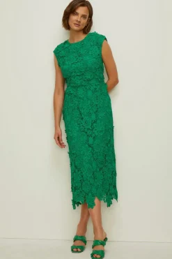 Best Oasis Petite Lace Midi Pencil Dress Red