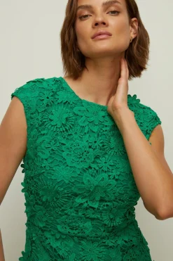 Best Oasis Petite Lace Midi Pencil Dress Red
