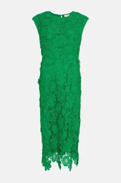Best Oasis Petite Lace Midi Pencil Dress Red