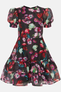 Clearance Oasis Petite Painted Floral Keyhole Organza Dress Black