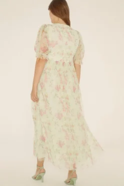 Online Oasis Plus Size Floral Button Detail Mesh Dress Sage