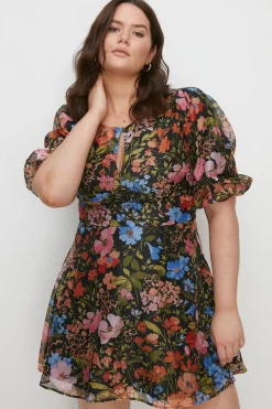 Online Oasis Plus Size Keyhole Organza Mini Dress Black