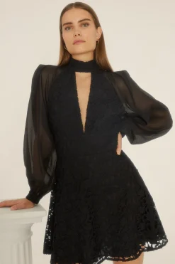 Clearance Oasis Premium Lace Cut Out Organza Sleeve Skater Dress Black
