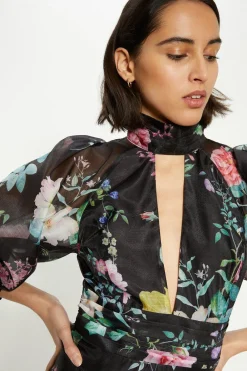 Sale Oasis Printed Organza Plunge Keyhole Skater Dress Floral